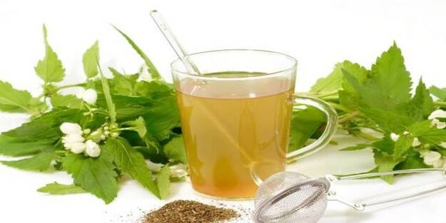 bylinná tinktúra proti parazitom