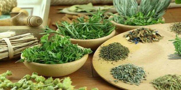 klinček proti parazitom v tele